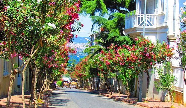 istanbul_adalar_10