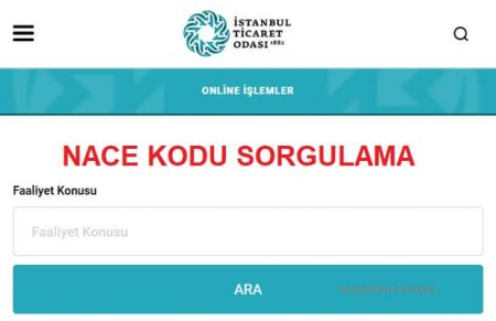 NACE Kodu Nedir? Ne İşe Yarar? NACE Kodu Sorgulama Nasıl Yapılır?